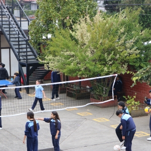 Día de la Actividad Física